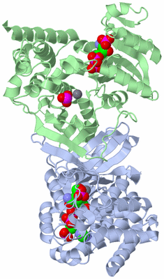 Image Asym./Biol. Unit