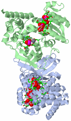 Image Asym./Biol. Unit - sites