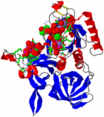 Image Asym./Biol. Unit - sites