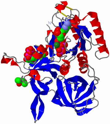 Image Asym./Biol. Unit