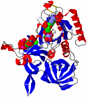 Image Asym./Biol. Unit