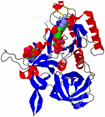 Image Asym./Biol. Unit