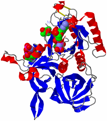 Image Asym./Biol. Unit