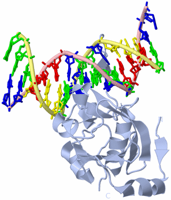 Image Biological Unit 1