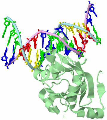 Image Biological Unit 2