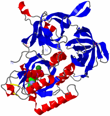 Image Asym./Biol. Unit