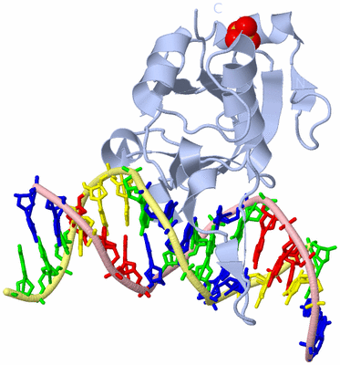 Image Biological Unit 1