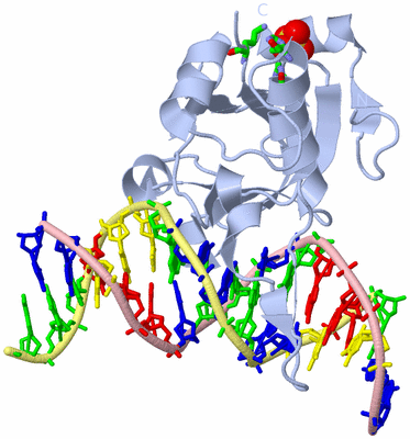 Image Biol. Unit 1 - sites