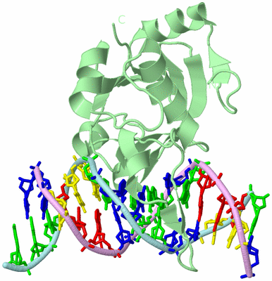 Image Biological Unit 2