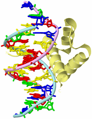 Image Biological Unit 2