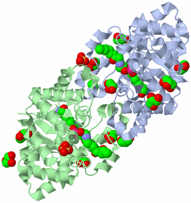 Image Asym./Biol. Unit