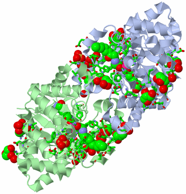 Image Asym./Biol. Unit - sites