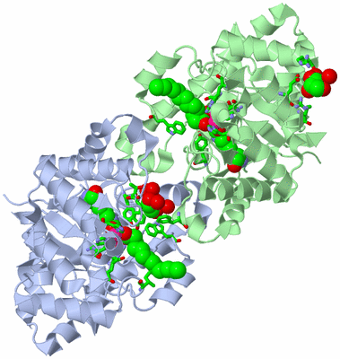 Image Asym./Biol. Unit - sites