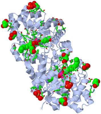 Image Biol. Unit 1 - sites