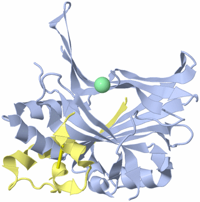 Image Biological Unit 1