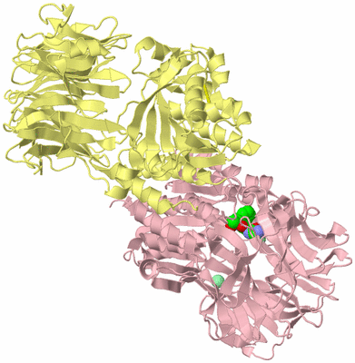 Image Biological Unit 2