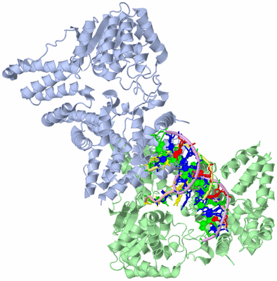 Image Asym./Biol. Unit