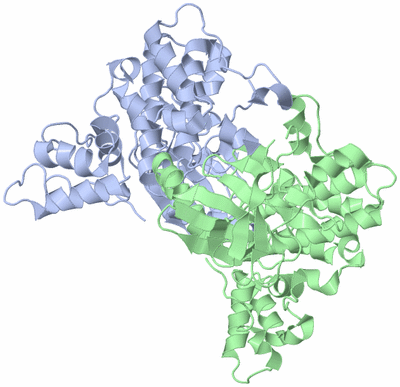 Image Biological Unit 3