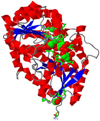 Image Asym./Biol. Unit - sites