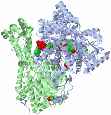 Image Biological Unit 1