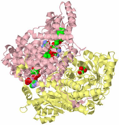 Image Biological Unit 2