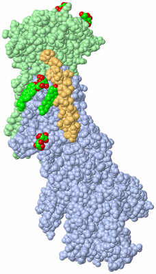 Image Biological Unit 1