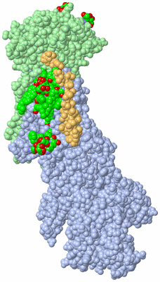 Image Biol. Unit 1 - sites