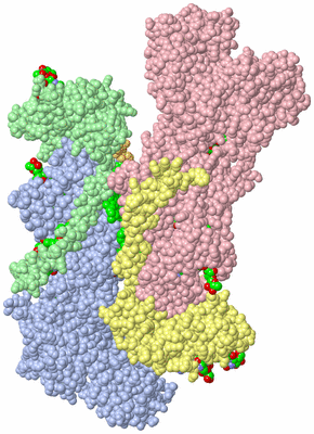 Image Asym. Unit - sites