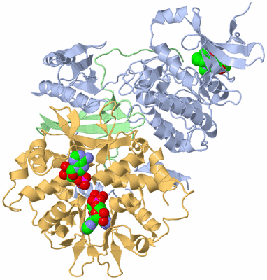 Image Asym./Biol. Unit