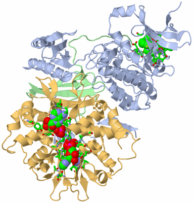 Image Asym./Biol. Unit - sites