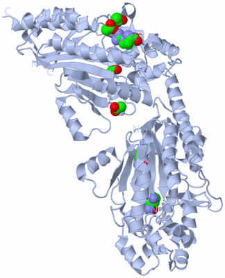 Image Biological Unit 1