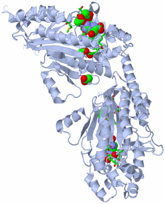 Image Biol. Unit 1 - sites