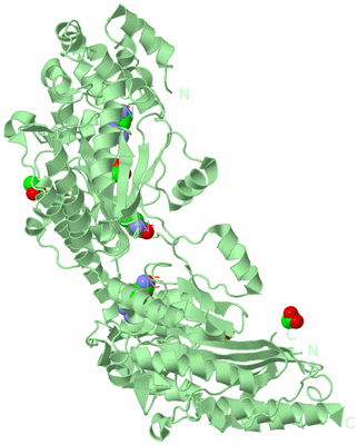 Image Biological Unit 2