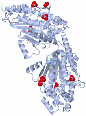 Image Biological Unit 1