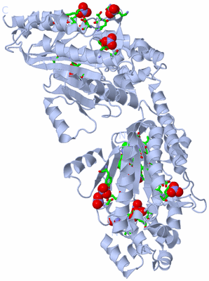 Image Biol. Unit 1 - sites