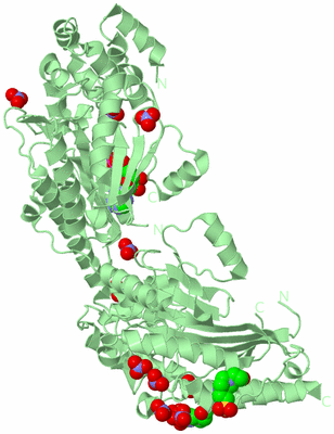 Image Biological Unit 2