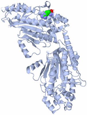 Image Biological Unit 1