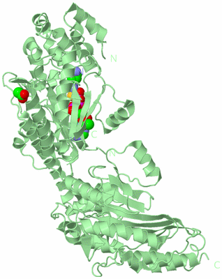 Image Biological Unit 2