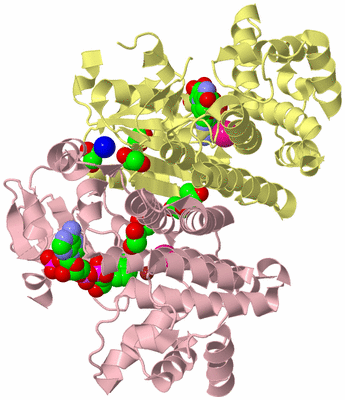 Image Biological Unit 2