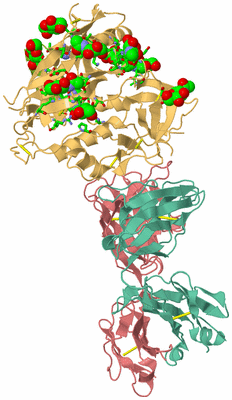 Image Biol. Unit 1 - sites