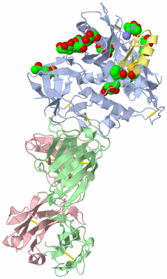 Image Biological Unit 2