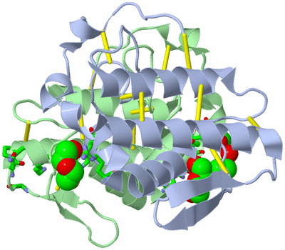 Image Asym./Biol. Unit - sites