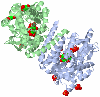 Image Asym./Biol. Unit