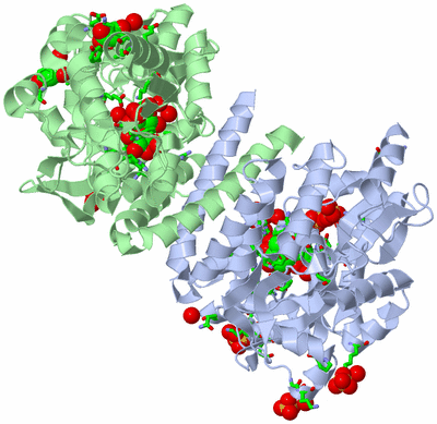 Image Asym./Biol. Unit - sites