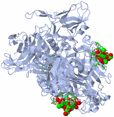 Image Biol. Unit 1 - sites