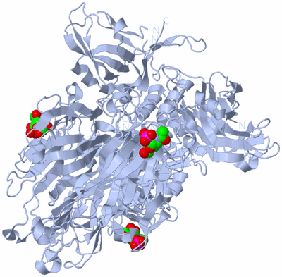 Image Biological Unit 1