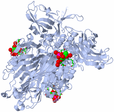 Image Biol. Unit 1 - sites