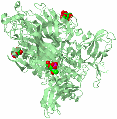 Image Biological Unit 2