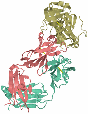 Image Biological Unit 1