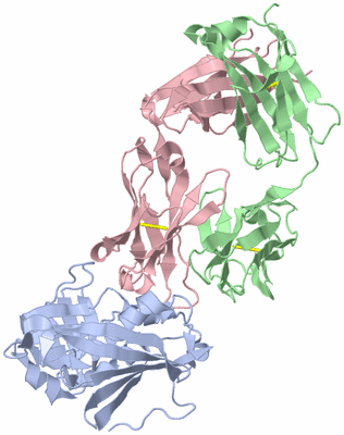 Image Biological Unit 2